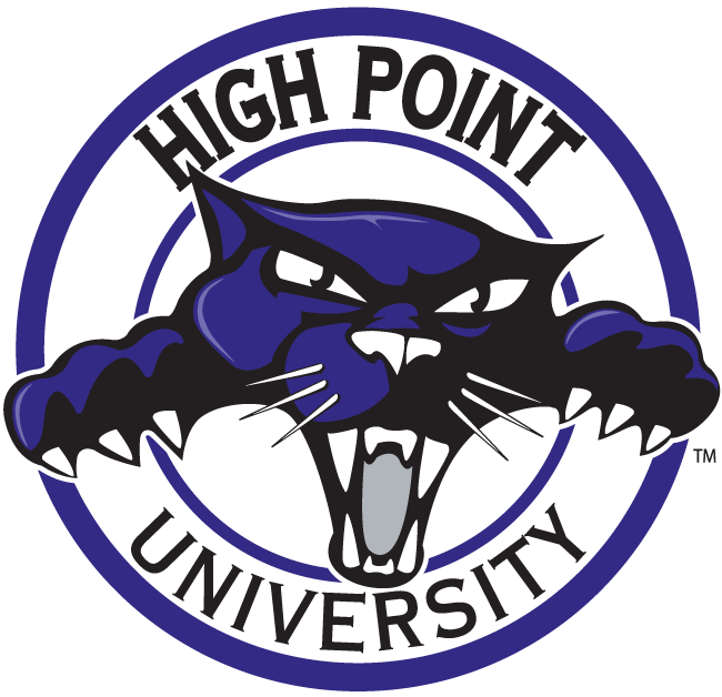 High Point Panthers 2004-2011 Alternate Logo v3 diy DTF decal sticker